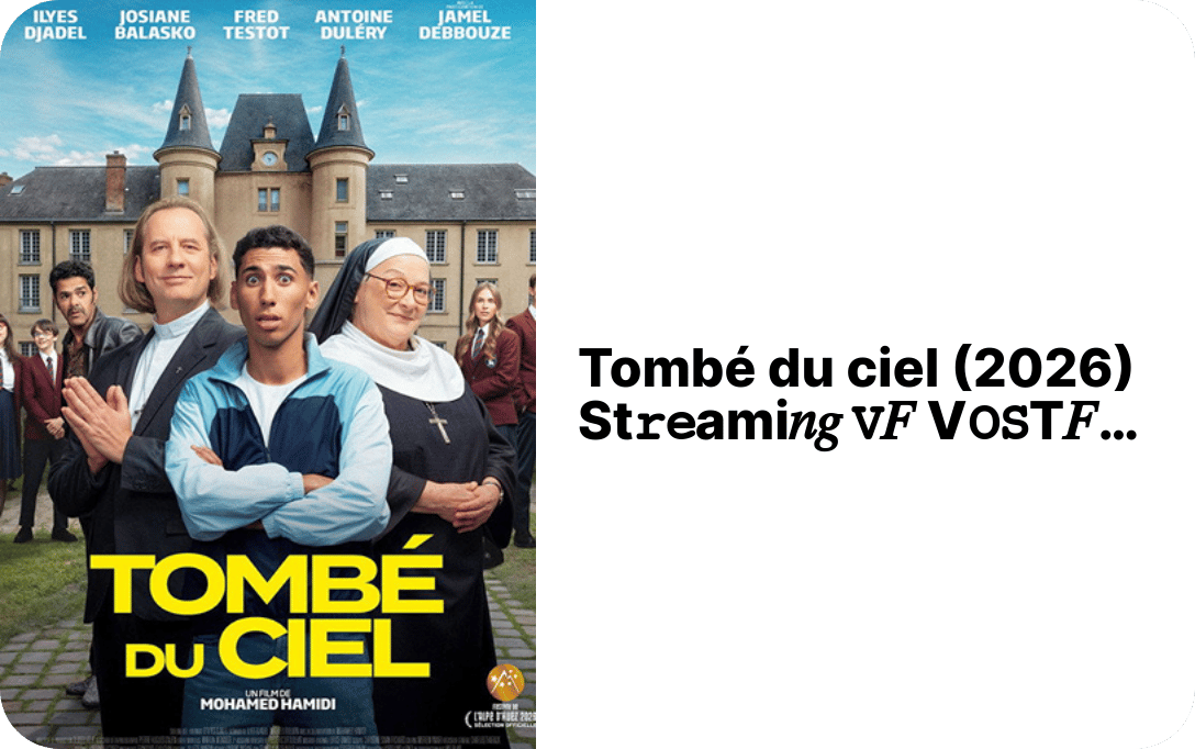 tombeducielstreamingvf's profile picture