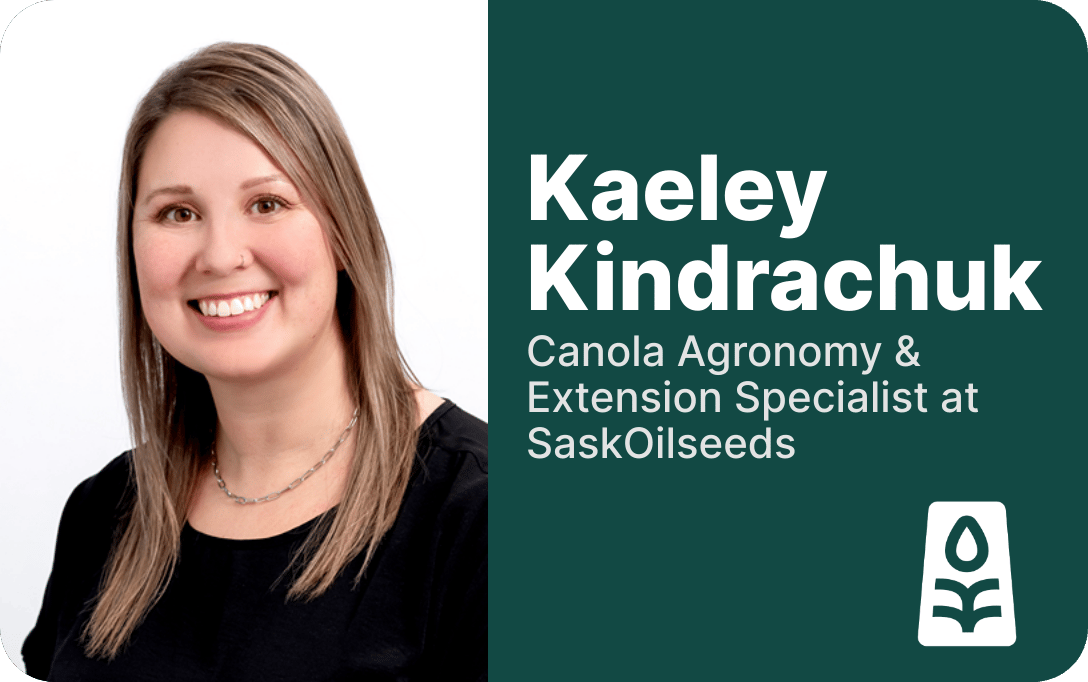 kkindrachuk's profile picture