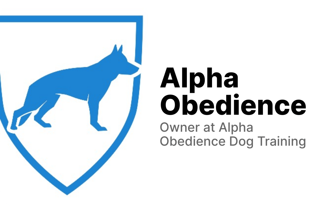 aodogtraining's profile picture