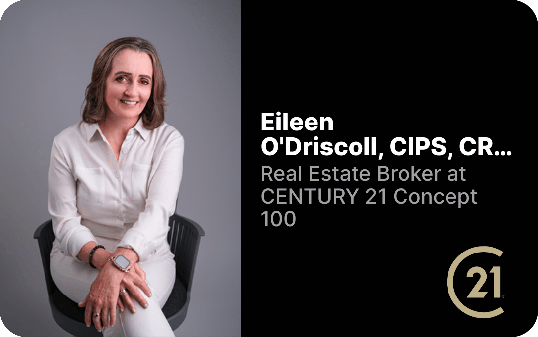 xayadonanilopoci's profile picture