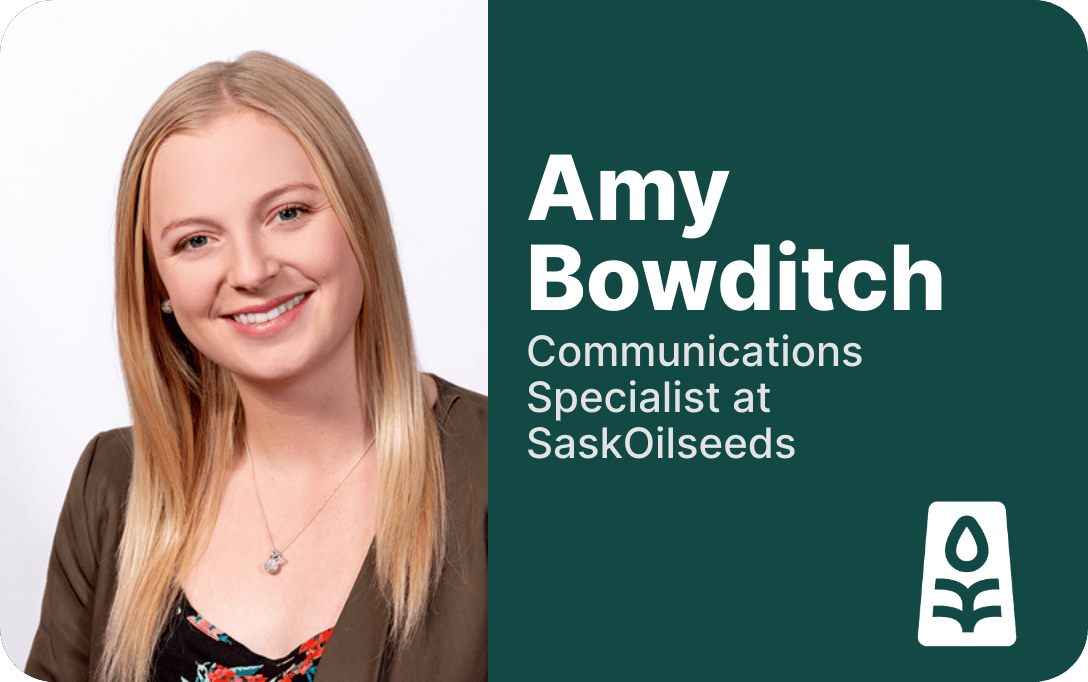 abowditch's profile picture