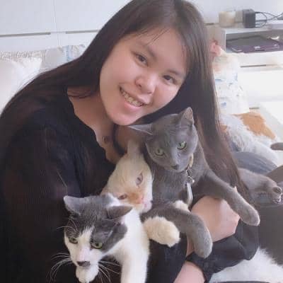 Hire me to be your Rover Cat Sitter!