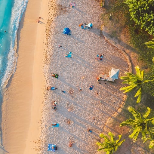 South Florida Relocation Guide