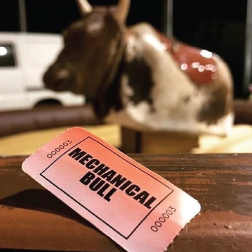 Mechanical Bulls