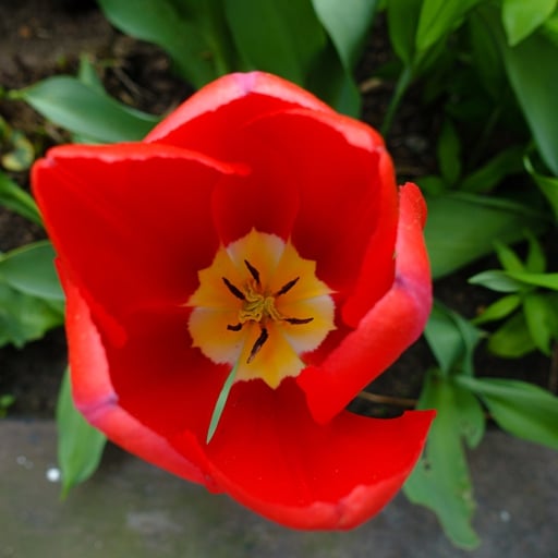 Lightroom portfolio