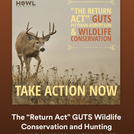 HowlCast - Panel on RETURN Act