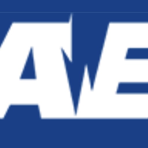 IAEI Professional Member