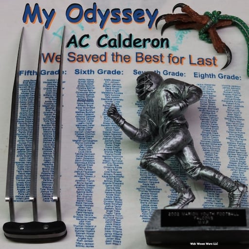 My Odyssey 🌙🦉🧩