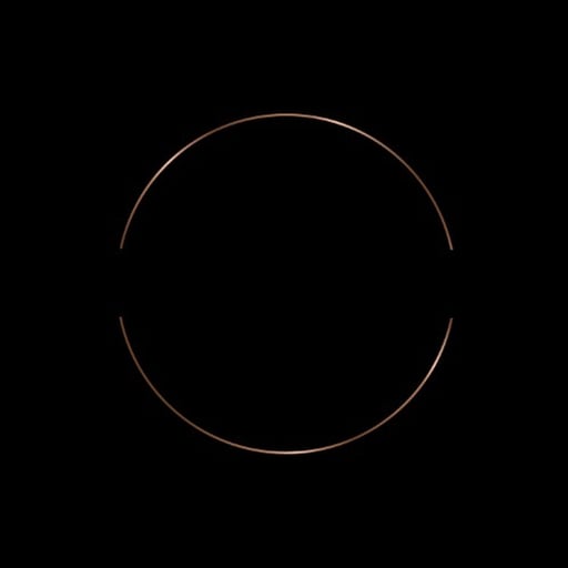 Why Choose Shannon Lee Realtor