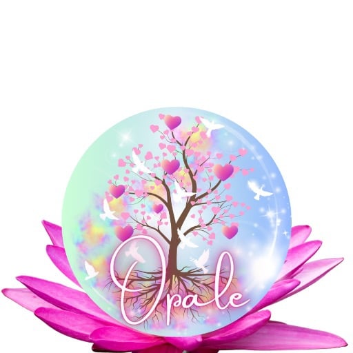 Facebook page professionnelle - Lynda Boulet OPALE Guidance