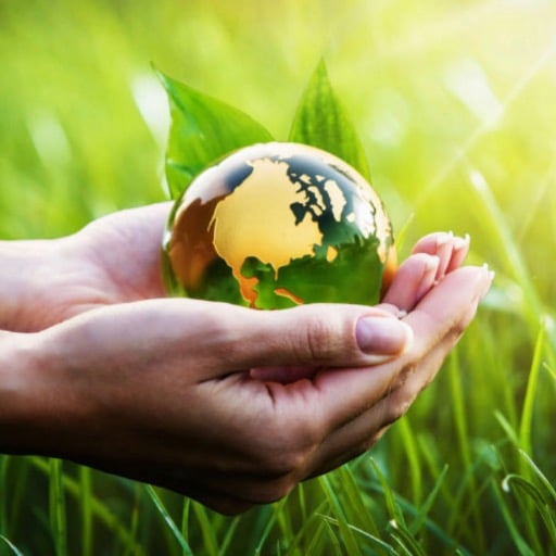 Find a Solar Buy Back Plan