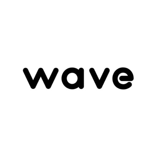 Wave Profile