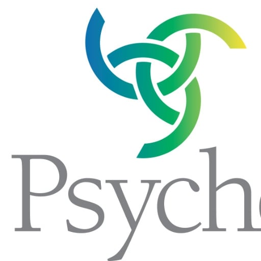 Professional Website