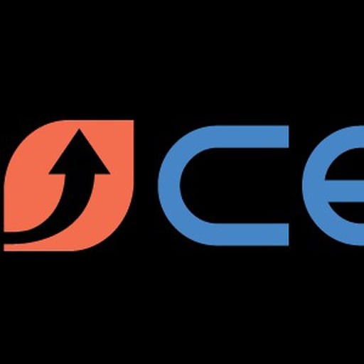 CEO360