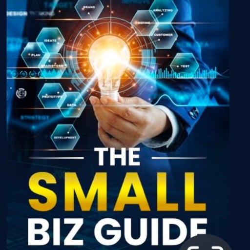 Buy The Small Biz Guide Soft Cover