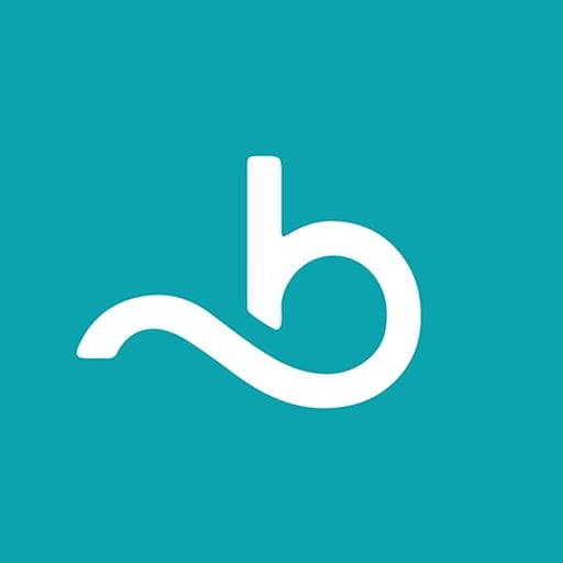 REVIEW ON BOOKSY