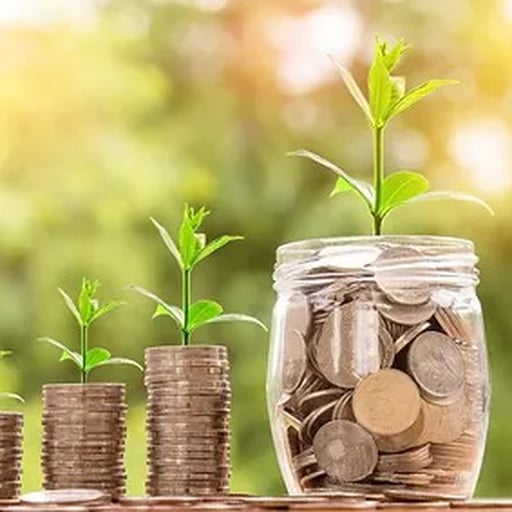 Wealth Management Consultant