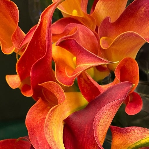 Gallery House in Menlo Park, CA Tu-Sun 11am-5pm 826 Santa Cruz Ave., Menlo Park, Ca