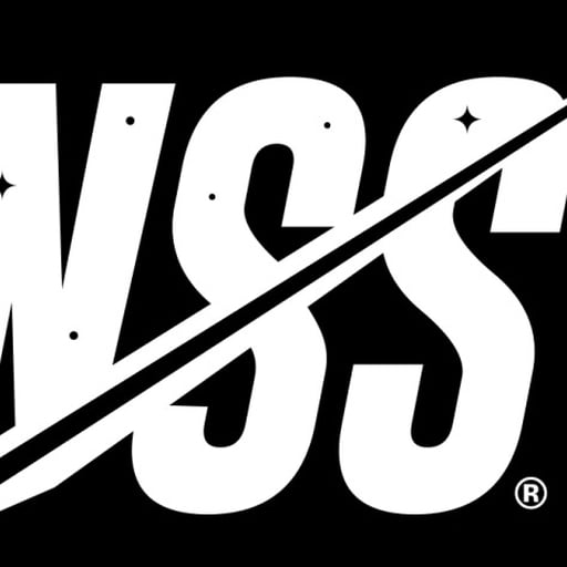 National Space Society