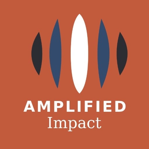 Amlified Impact LLC Website