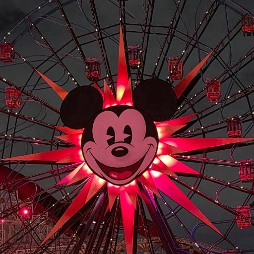 Disney Vacation Information
