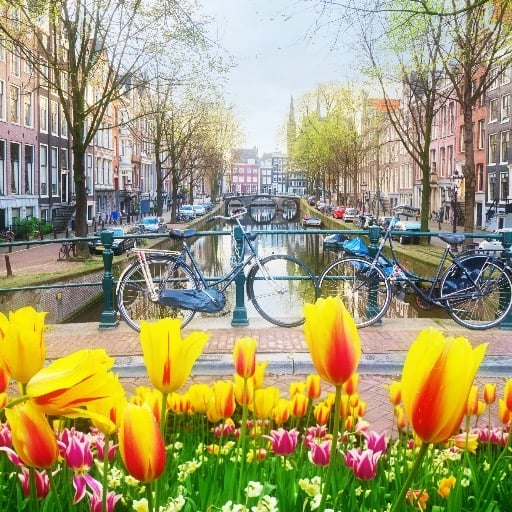 Indulgence Travel - Viking Travel Agency Partner