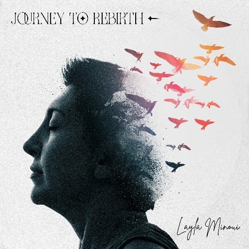 Journey to Rebirth FYC