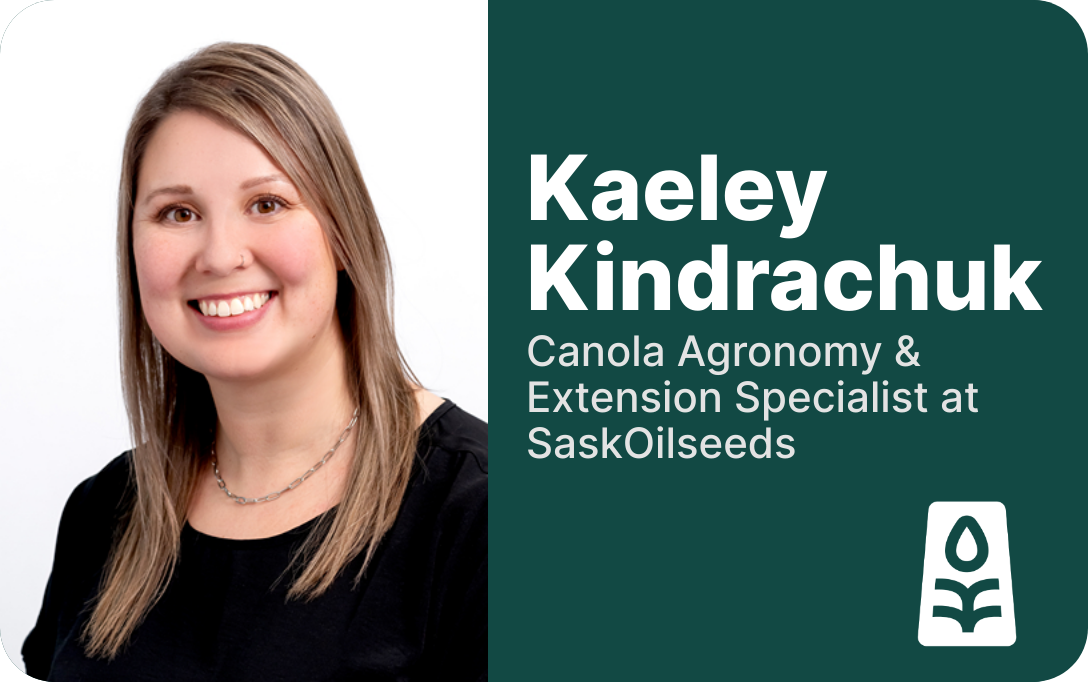 kkindrachuk's profile picture