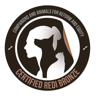 REDI Bronze Certification course