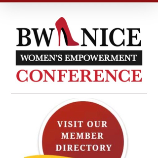 BW NICE Women Networking Involving Charity and Education
