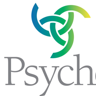 Professional Website