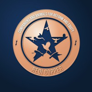 REDI Copper Certification course
