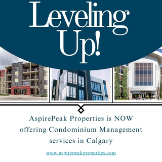 Condominium Services