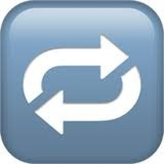 CV | Diane Begin, Strategic business partner